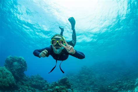 Great Barrier Reef Conservation, Australia | WorkingAbroad