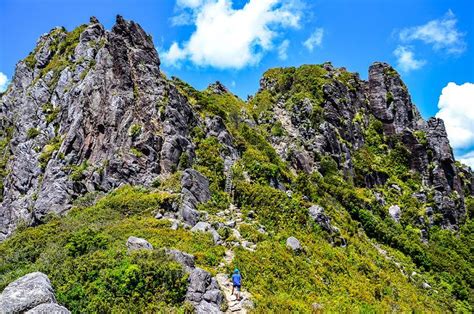 Ultimate Guide To The Pinnacles Coromandel Amazing Hike 2022