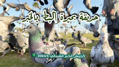 حديقة بحيرة البط بكورنيش الخبر Duck Lake Park in Al Khobar YouTube