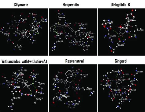 Illustrations Of The Docking Pose Of 6 Best Ligands Binding With The Download Scientific