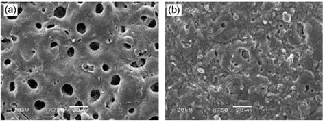 Coatings Free Full Text Research Progress On The Wear And Corrosion