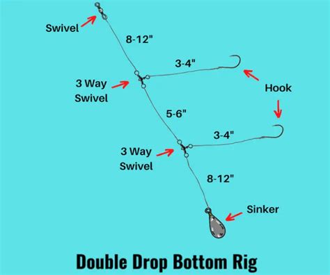 Double Drop Bottom Rig Setup Fishing Guide With Pictures