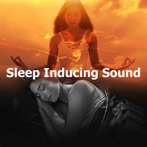 Sleep Inducing Sound Album By The Deep Sleep Scientists Spotify