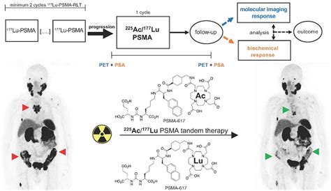 Molecular Imaging And Biochemical Response Assessment After A Single