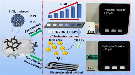 Portable Visual And Electrochemical Detection Of Hydrogen Peroxide