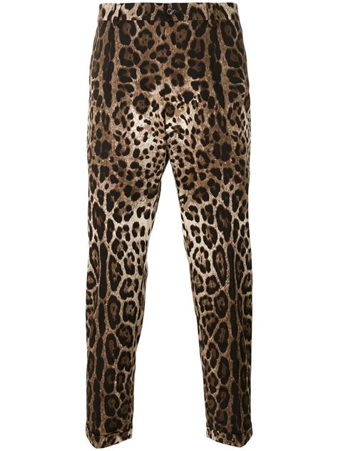 Dolce And Gabbana Leopard Print Straight Leg Trousers Brown Farfetch Uk