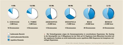 Biomax Epigenetik Max Wissen De