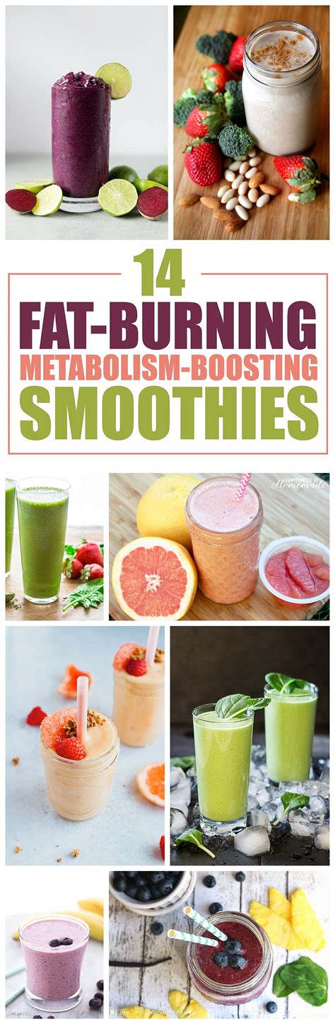 14 Fat Burning Metabolism Boosting Smoothie Recipes To Help Shed Those Extra Pounds Six Clever