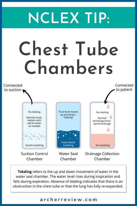 Chest Tube Diagram Chest Drainage Tube System Nursing Parts