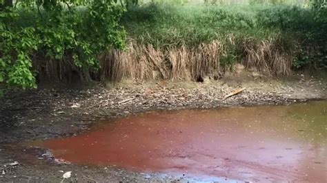 Casale Il Brembiolo Si Tinge Di Rosso Mistero Sulle Cause