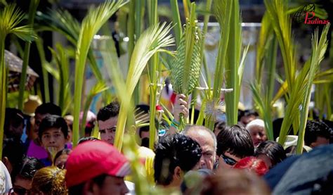 CUÁL ES EL SENTIDO VERDADERO DE LAS PALMAS DE DOMINGO DE RAMOS