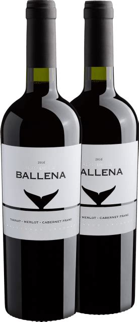 Kit 2 Alto De La Ballena Tannat Merlot Cabernet Franc Drinko