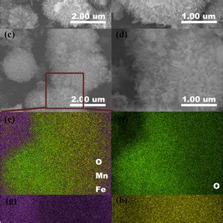 Typical SEM images of the as prepared α FeOOH a b and α FeOOH MnO2