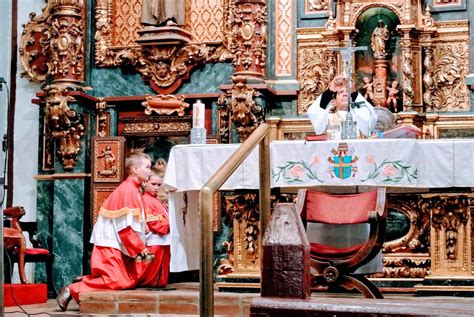 The Feast Of Corpus Christi And Fostering Belief In The Real Presence Catholic All Year