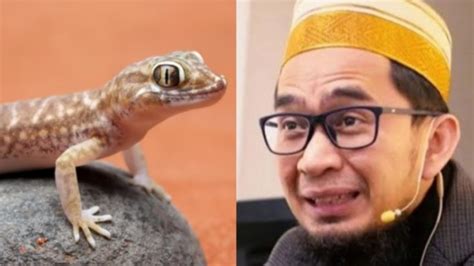 Waspada Ustaz Adi Hidayat Beri Peringatan Jika Banyak Cicak Di Rumah