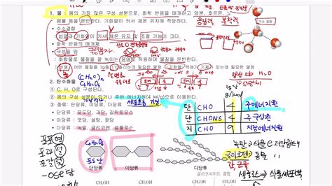 2020학년도 고3 생명과학2 6 생물의구성 지질 Youtube