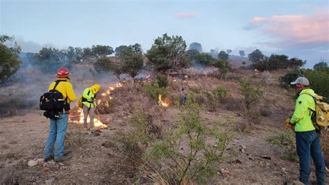 Fuerza De Tarea De Personas Atienden Incendio Forestal En Bacoachi