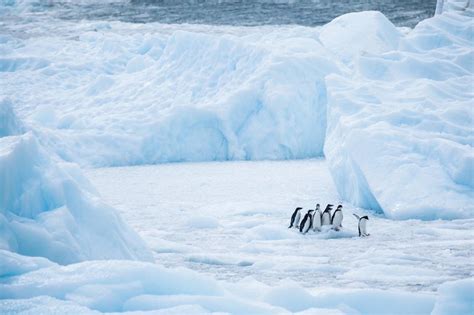 Summer in Antarctica | ALK3R