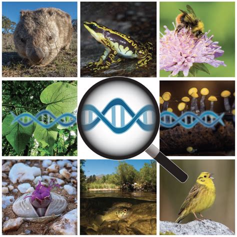 IUCN Guidelines for Monitoring Genetic Diversity — Coalition for ... 