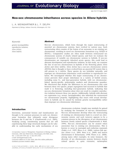 Pdf Neo Sex Chromosome Inheritance Across Species In Silene Hybrids