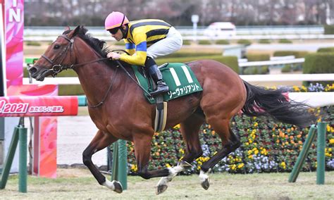 【富士ステークス2023】予想と一週前追い切り・調教評価 未勝利マニアの競馬予想