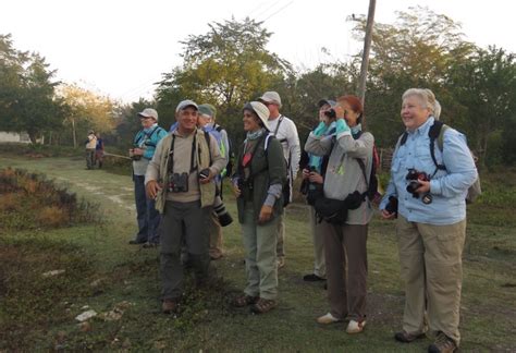 Birding Tours Of Cuba In 2019 From Birdscaribbean Birdscaribbean