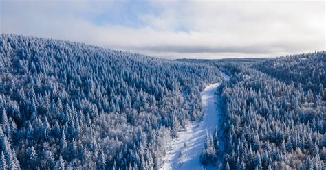 La più grande foresta del mondo quella boreale sempre ai confini del