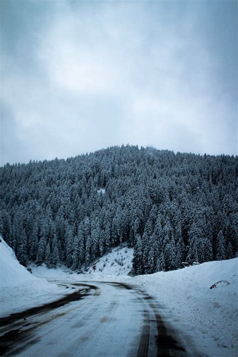 Mountain Road in Snow · Free Stock Photo