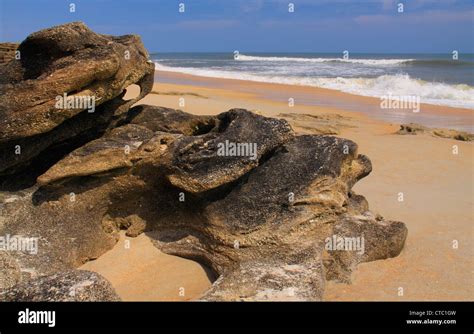 Coquina rock hi-res stock photography and images - Alamy