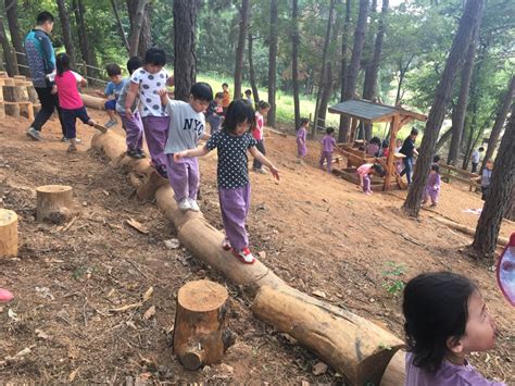 익산시 웅포산림체험관 인근에 유아숲체험원 연합뉴스