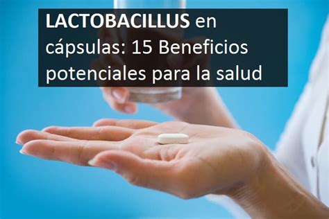 Lactobacillus en Cápsulas 15 beneficios potenciales para la salud Prokey