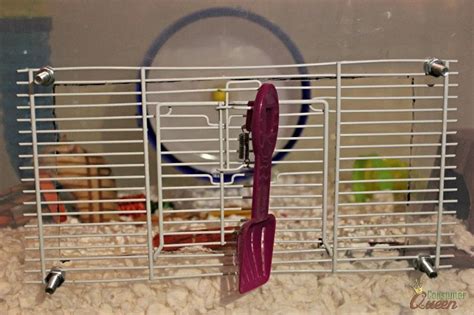 9 Diy Hamster Bin Cages You Can Make At Home With Pictures Hepper