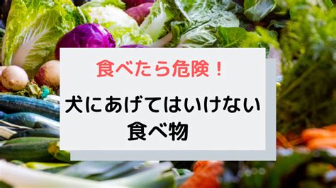 食べたら危険！犬にあげてはいけない食べ物5選 イヌノコエ