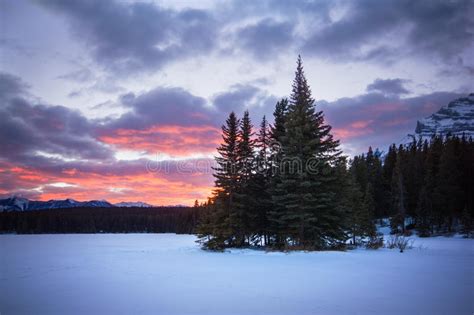 Little Forest Island In The Middle Of Frozen Lake Covered By Snow During Colorful Sunset Two