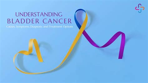 Understanding Bladder Cancer Causes Symptoms Diagnosis And