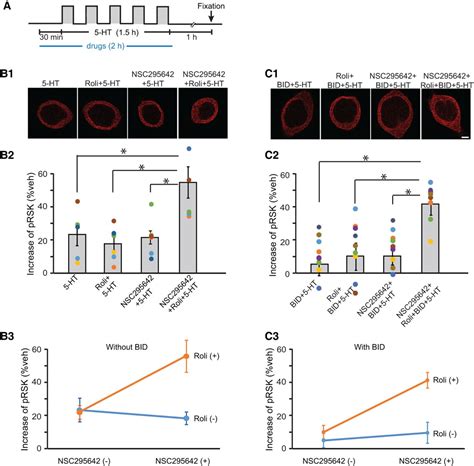 Defective Synaptic Plasticity In A Model Of CoffinLowry Syndrome Is