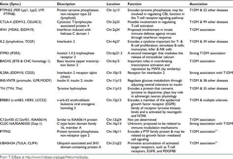 Type 1 Insulin Dependent Diabetes Mellitus Etiology Pathogenesis