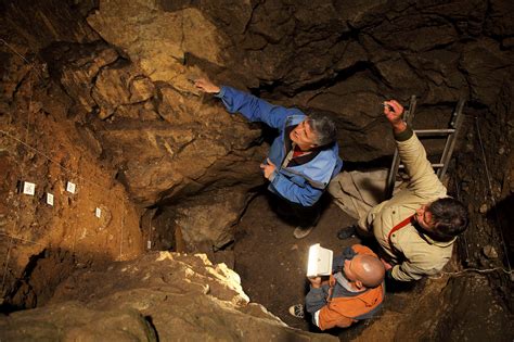 Ancient Bone Reveals Surprising Sex Lives Of Neanderthals Npr And Houston Public Media