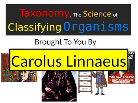 Pptx Taxonomy The Science Of Classifying Organisms Brought To You By