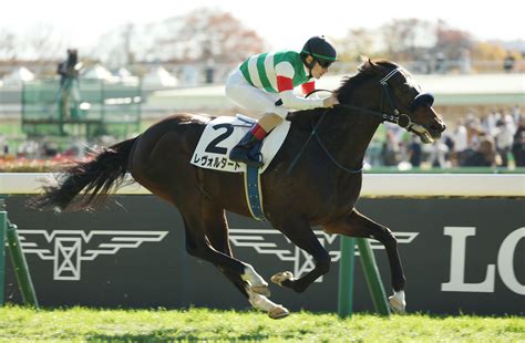 【新谷の日曜競馬コラム・弥生賞ディープインパクト記念】 日刊ゲンダイ競馬