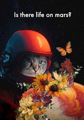 Y A T Il De La Vie Sur Mars Affiches Et Impressions Par Kattfabriken