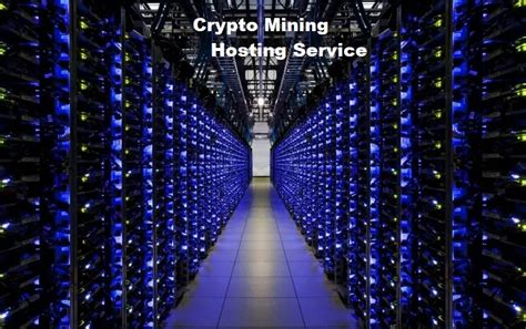 Reasons To Unlock The Best Crypto Mining Hosting Service