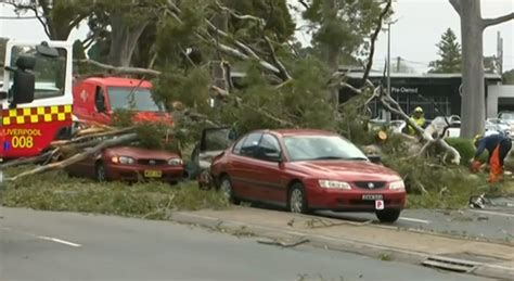 Dangerous Winds Lash Nsw Sky News Australia