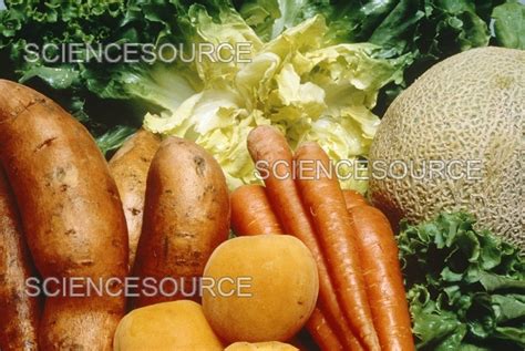 Foods Rich In Beta Carotene Stock Image Science Source Images