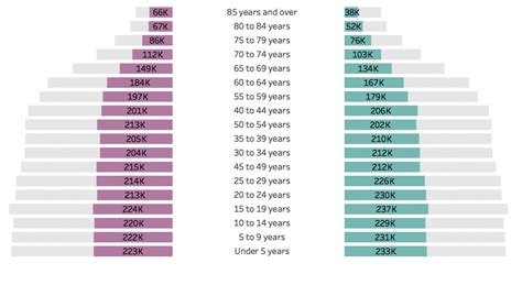 How To Visualize Age Sex Patterns With Population Pyramids In Tableau