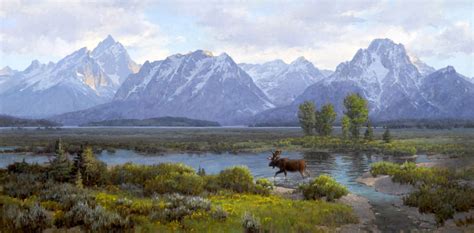 Moose Heaven By Jim Wilcox Wilcox Gallery