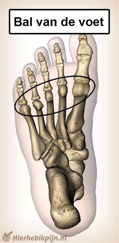 De Bal Van Mijn Voet Doet Pijn Wat Kan Dat Zijn Blog Hier Heb Ik Pijn