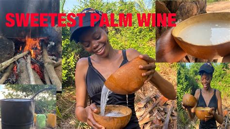 Sweetest Locally Made Palm Wine In An African Village In Ghana 🇬🇭pure