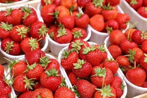 Propiedades Y Beneficios De Las Fresas Para La Salud Conoce Las