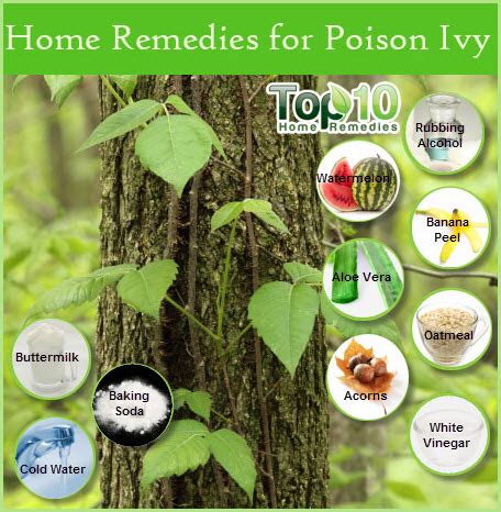 Home Remedies for Poison Ivy | Top 10 Home Remedies